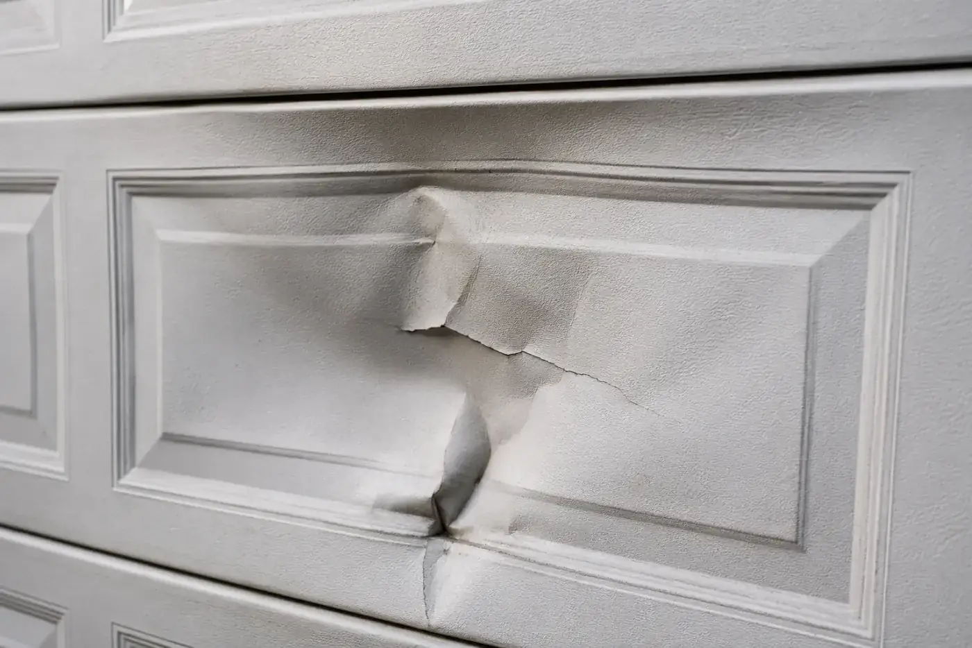 Garage door panel replacement service